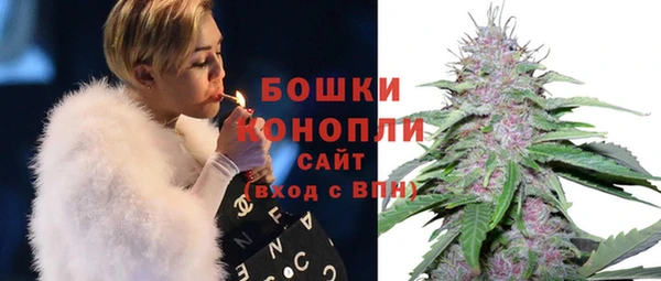 не бодяженный Ельня