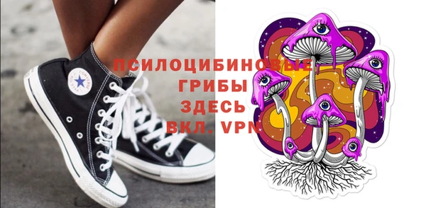 шишки Елабуга
